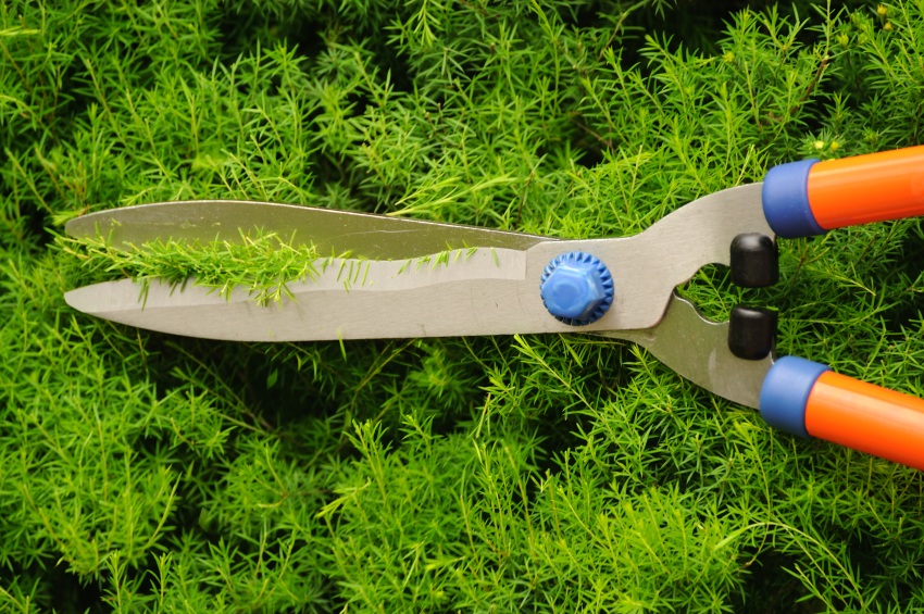 Sidebar Filler Image